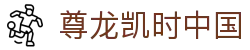 尊龙凯时中国 - (中国)杭州市尊龙凯时中国商贸有限责任公司欢迎您